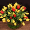 Tulips arranged in a bowl 