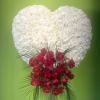 A breathtaking white rose heart adorned with a cascading spray of red