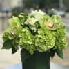 Bloom4007