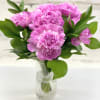 Charming bouquet of pink peonies is a perfect choice for a springtime.