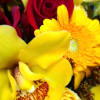 Vibrant yellow and orange colors 