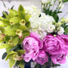 Peonies ,Cymbidium OrchidHydrangealisiantrus.45.