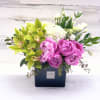 Peonies ,Cymbidium OrchidHydrangealisiantrus.45.