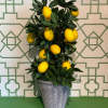 Bring a touch of Mediterranean charm into your space with this realistic