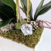 This one of a kind artificial orchid planter is the perfect gift
