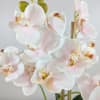 This one of a kind artificial orchid planter is the perfect gift