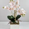 This one of a kind artificial orchid planter is the perfect gift