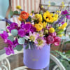 This is a rich variety of bright and colorful blooms. Literally conveys