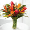 party fiesta, come and admire this wonderful fun flower arrangement while you