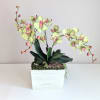 This one of a kind artificial orchid planter is the perfect gift