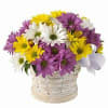 A Burst of Color to Brighten Any Day!

The Springtime Cheer Basket is