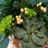 Celebrate the beauty and strength of motherhood with our Mother Nature arrangement&mdash;an