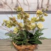 This custom designed &amp; one of a kind,  exquisite orchid dish