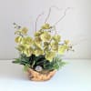 This custom designed &amp; one of a kind,  exquisite orchid dish