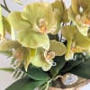 This custom designed &amp; one of a kind,  exquisite orchid dish
