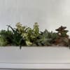 4&quot;x12 white ceramic contain filled with a variety of Succulents.
Finished with sand
