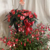 A pair of hanging baskets that feature shade-loving flowers that thrive in
