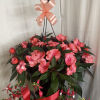 A pair of hanging baskets that feature shade-loving flowers that thrive in