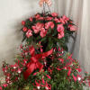 A pair of hanging baskets that feature shade-loving flowers that thrive in