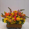 Bursting with warmth and vibrant color, Stacie&rsquo;s Golden Glow is a radiant