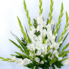 An all white classic arrangement of gladiolus designed tall and elegant to