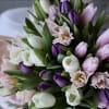 Mix of 100 tulips