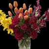 An amazing assortment of garden roses, vibrant French tulips, stunning cymbidium orchids