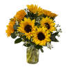 A bright and cheerful arrangement of vibrant sunflowers.