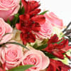 The Designer&#039;s Choice is the perfect option for those who want to