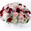 Embrace the feeling of your first love: exciting, beautiful, and full of