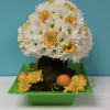 Mushrooms made of daisies 

There is a window of 24 hours to
