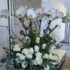 4 Stem Orchids embedded with Playa Blanca Roses