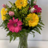 Vibrant colors of Gerbera daisies and tulips 