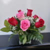 One dozen mixed red and pink roses arranged in a 4 inch
