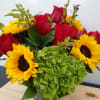 Sunflowers, red roses, carnations and green hydrangea arranged in a 5 &quot;x