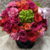 LIGHT, SHINE IN A BEAUTIFUL BOUQUET OF ROSES!!


