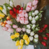 Tulips make any room look like spring is here!  We have