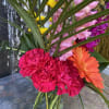 This petite arrangement will brighten up their day! The flower types and