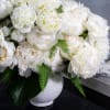  A lavish arrangement of over 20 pristine white peonies nestled within