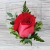 This Boutonniere features a full sized red rose with accent greenery. If