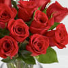 Very  high-quality from Ecuador 1 Doz. Red Long Stem Roses
