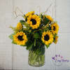 &quot;Brighten Your Day with Our Springtime Smiling Sunflowers - Looking for a