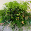 Maiden Hair Fern , Lotus Pods (Moss covered) , Hypericum , Pussy-Willow