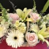 Seasonal Flowers : Roses, Hydrangea, Asiatic Lilies, Gerbera Daisies, Fancy Greens

Flowers and