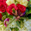 Tulips and so much more, this beautiful abundance is packed with 18