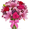 Its the time of the year for the most beautiful blooms. Show