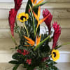 Tropical flowers as shown arranged in a vase. The quantity of flowers