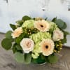 Each arrangement is custom designed, using seasonal, best-of-day blooms. The image shown