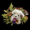 White Carnations Poodle mixed with Fall Flowers.  We can also custom