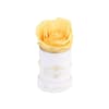 Rose Color: Yellow
Rose Count: 1 Preserved Rose
Lifespan: 1 Year+

Box Dimensions: 2&quot; x